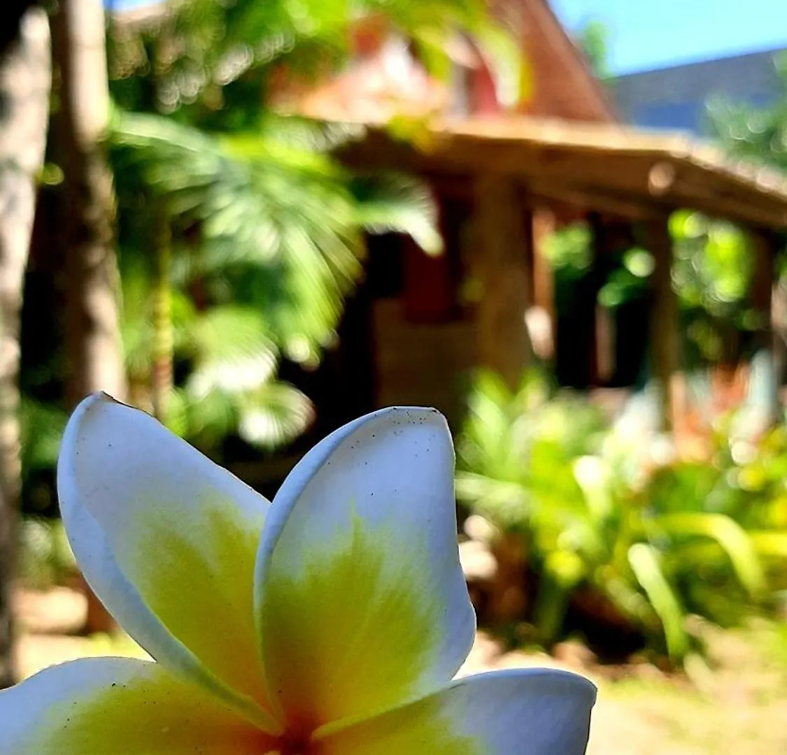 Holiday home Praia Do Rosa Kaora Cabanas Brazil